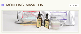 Modeling Mask Line